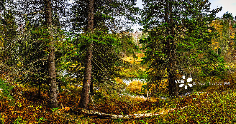 法国科夫自然公园图片素材