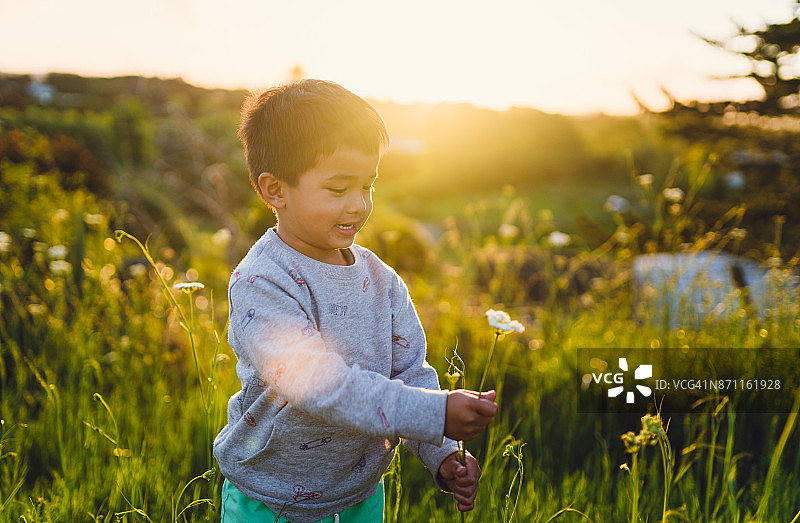 混血儿童在户外采摘鲜花图片素材