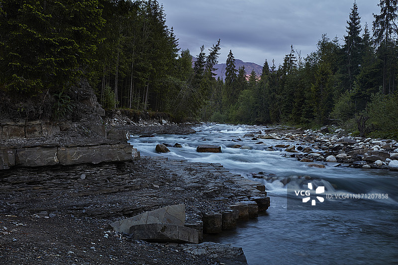 森林中的河流图片素材