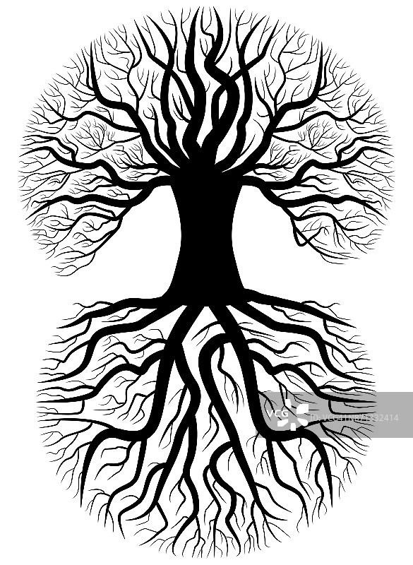 树的轮廓图片素材