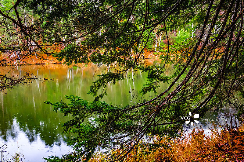法国科夫自然公园图片素材