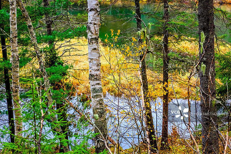 法国科夫自然公园图片素材