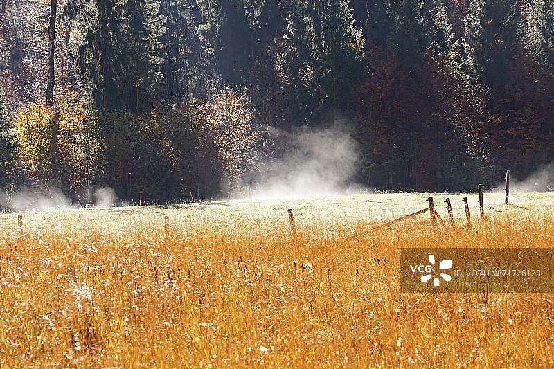 德国巴伐利亚魏特塞湖美丽的自然风光图片素材