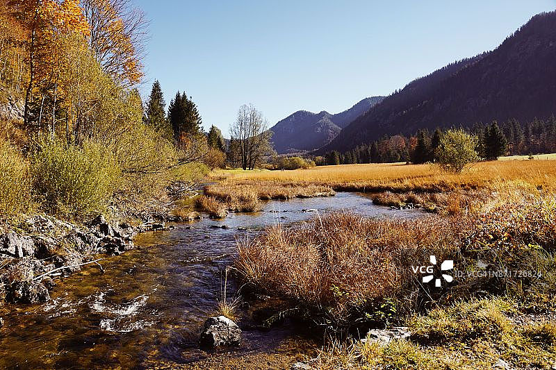 德国巴伐利亚魏特塞湖美丽的自然风光图片素材