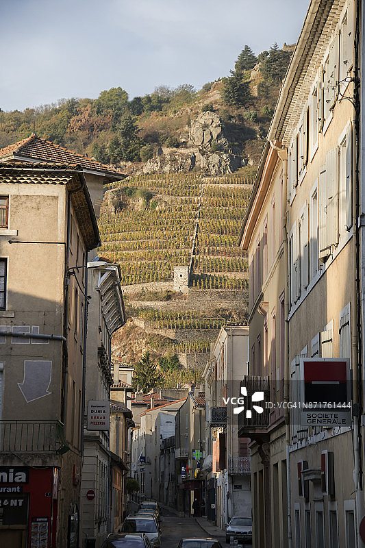 法国图尔农村庄上方山丘上的葡萄园图片素材
