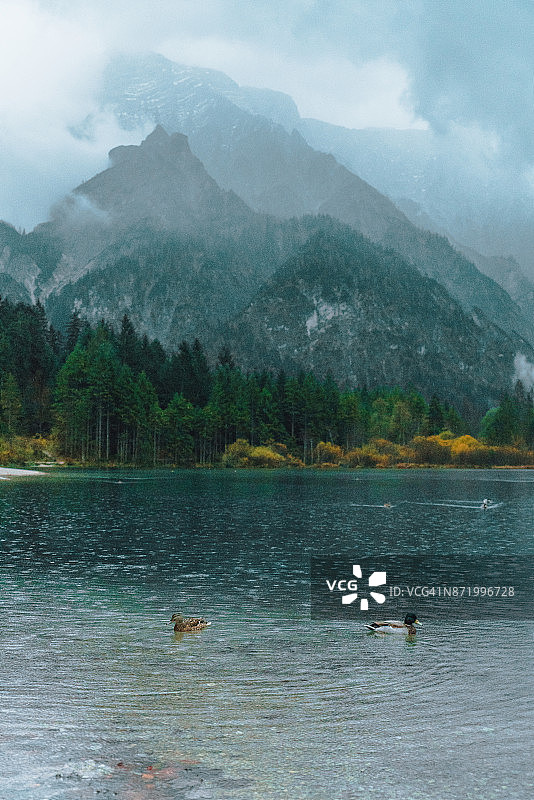 阿尔卑斯山清晨湖泊的风景图片素材