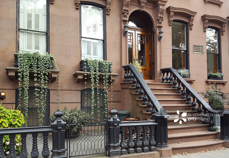 纽约市布鲁克林Fort Greene区的优雅褐石建筑和联排别墅图片素材