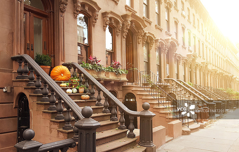 纽约市布鲁克林Fort Greene区的优雅褐石建筑和联排别墅图片素材