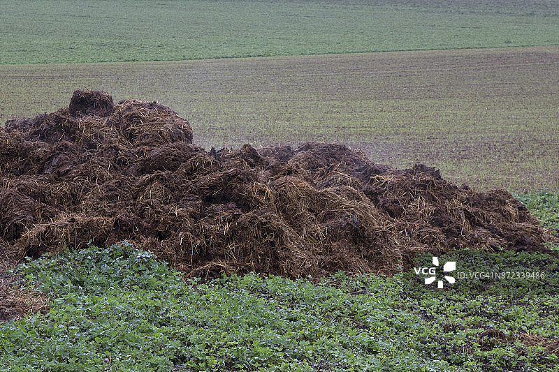 田地上的粪堆图片素材