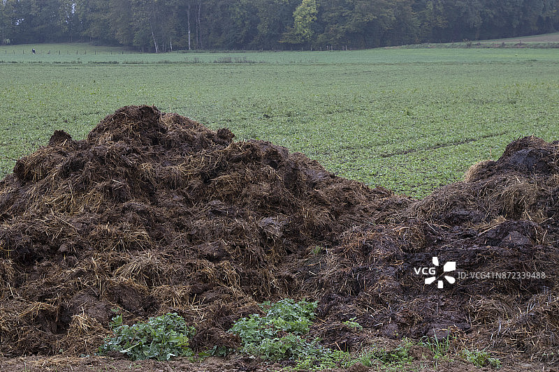 田地上的粪堆图片素材