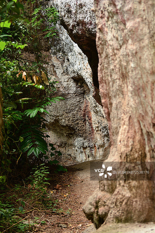悬崖底部风光图片素材