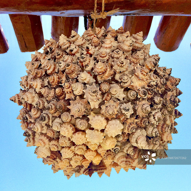 墨西哥穆赫雷斯岛装饰性海贝球图片素材