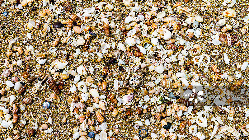 第乌岛上的沙子和贝壳图片素材