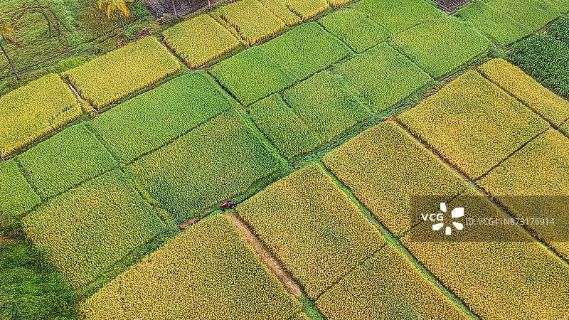 农场里的拖拉机图片素材