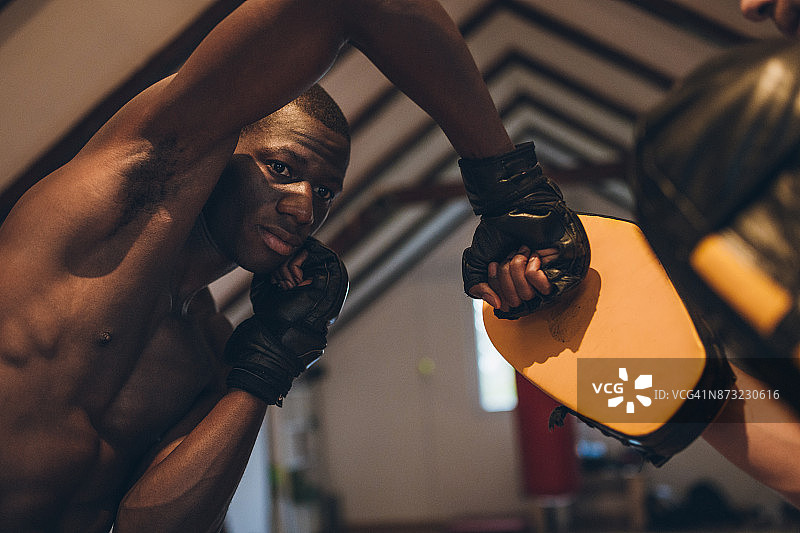 在健身房训练的MMA格斗者图片素材