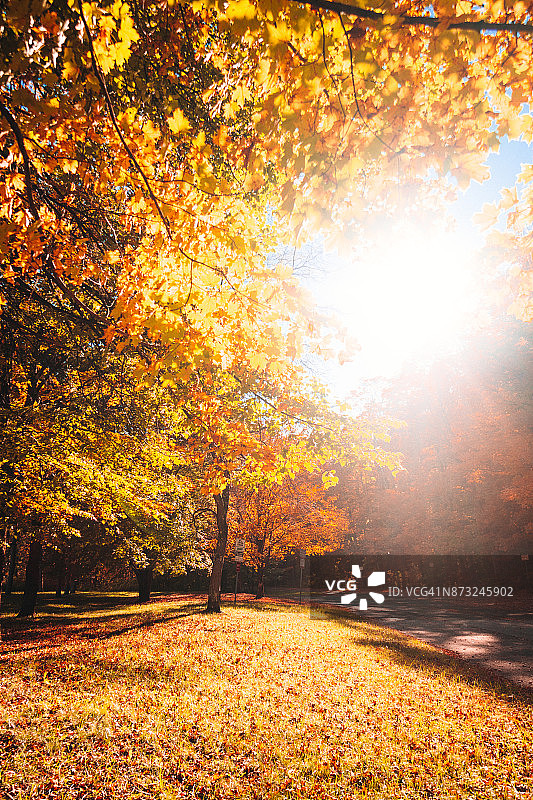 秋天的公园图片素材