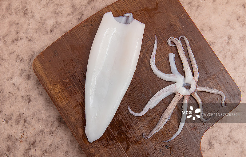 欧洲鱿鱼或普通鱿鱼的触手及清理过的外套膜图片素材