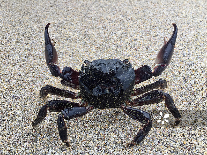 坎格雷霍一号图片素材