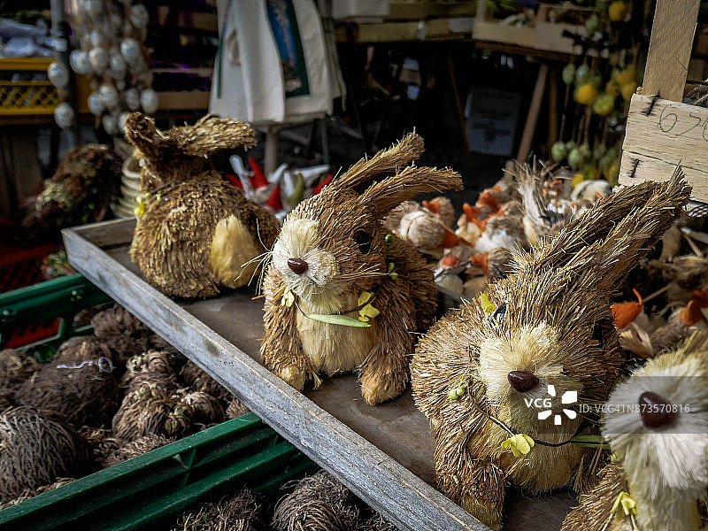 复活节兔子图片素材