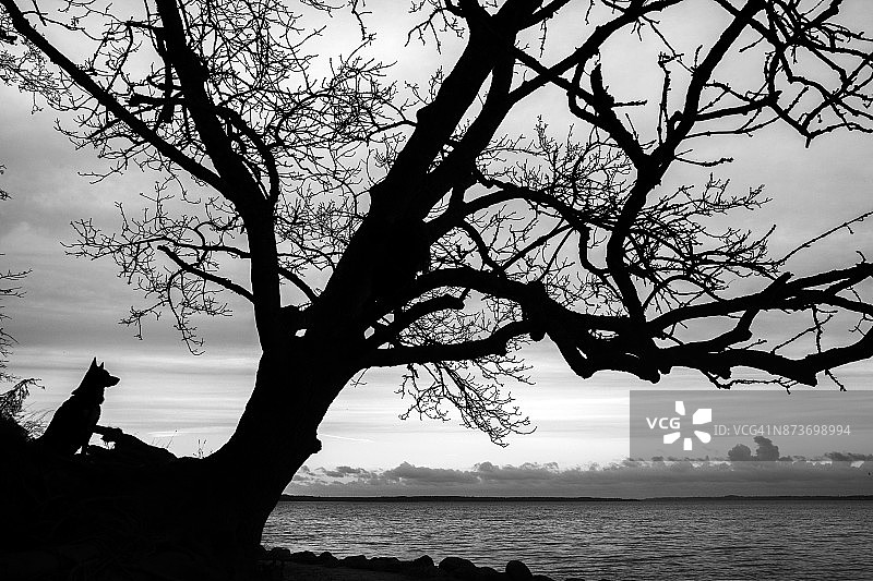 沿着罗斯基勒峡湾行走图片素材