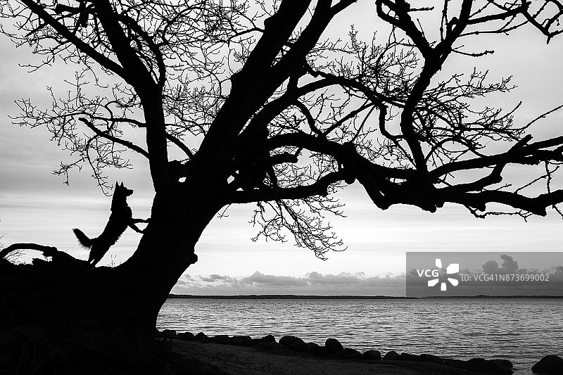 沿着罗斯基勒峡湾行走图片素材