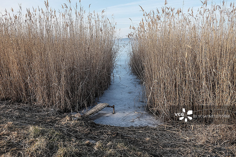 芦苇丛中的通道图片素材