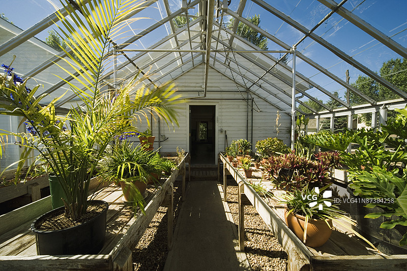 温室内部图片素材