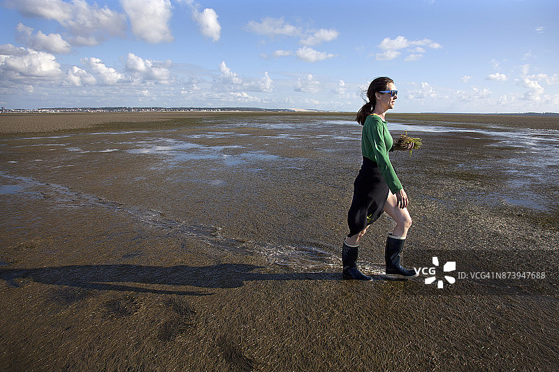 一位女士手持从盐沼采集的碱蓬草图片素材
