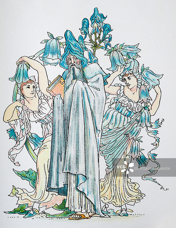 花草拟人复古插画：风铃草图片素材
