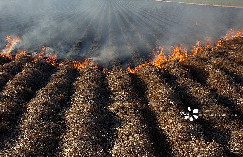 燃烧的田野图片素材