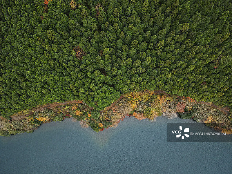 海岸和森林图片素材