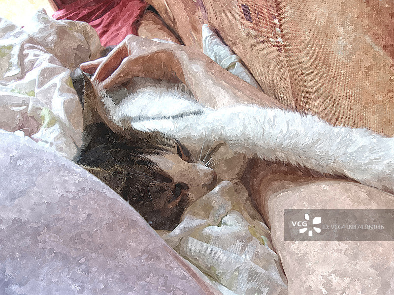 依偎的朋友们图片素材