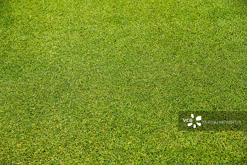 绿色草地背景图片素材