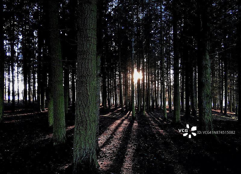 很久以前图片素材