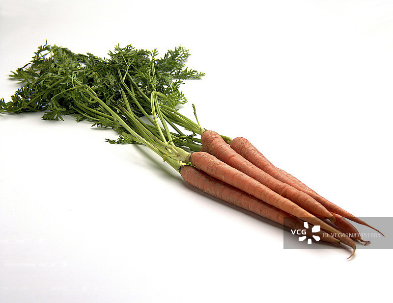新鲜成熟的胡萝卜图片素材