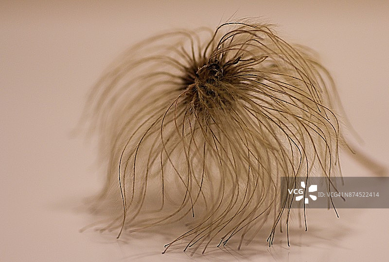 秋季艺术图片素材