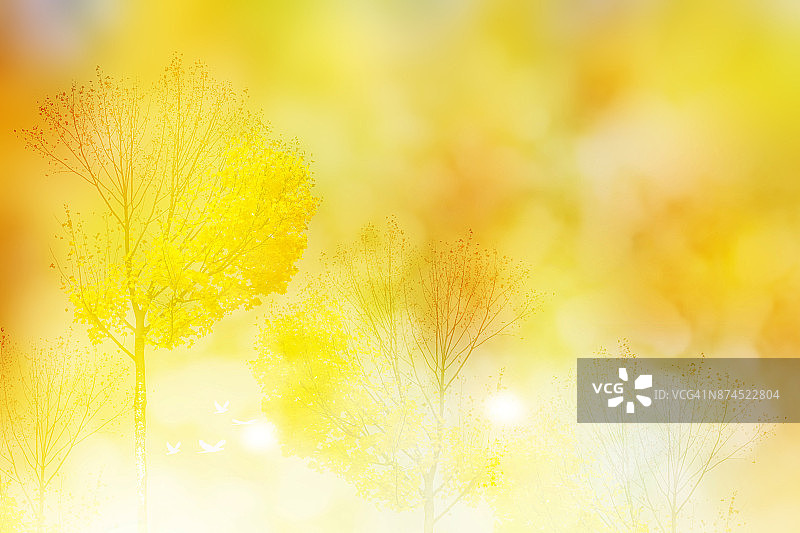 色彩鲜艳的秋叶景色图片素材