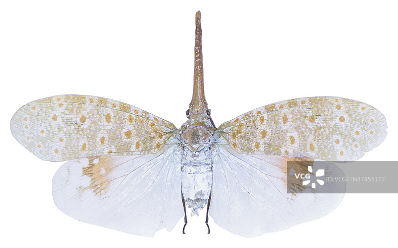 23640320图片素材