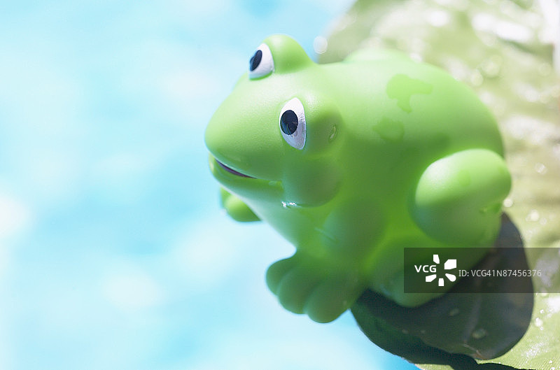 泳池边的玩具青蛙图片素材