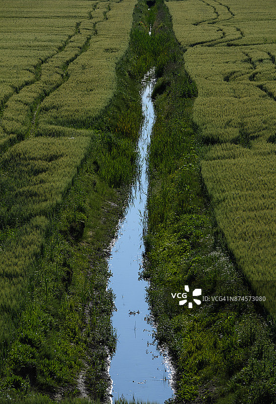 波河三角洲附近的波莱西内乡村风光图片素材