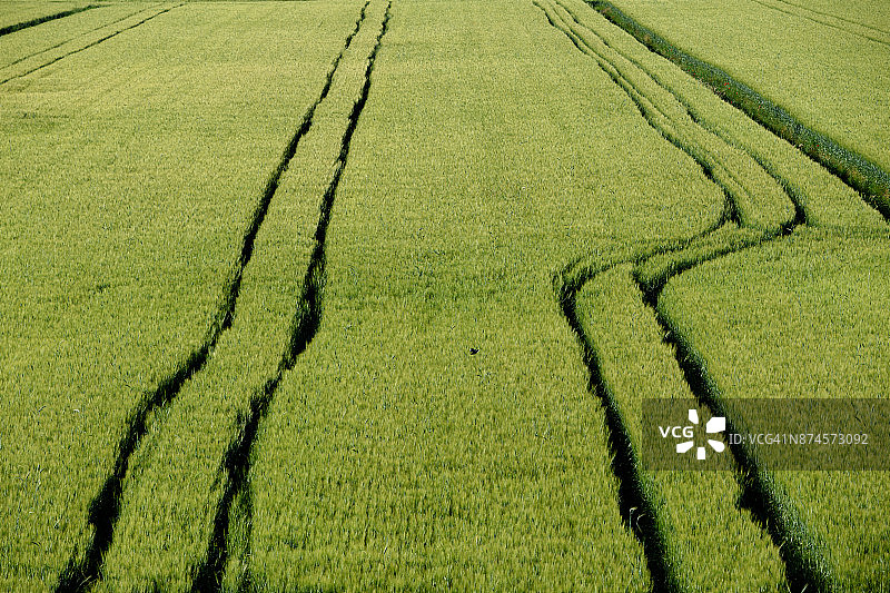 波河三角洲附近的波莱西内乡村风光图片素材