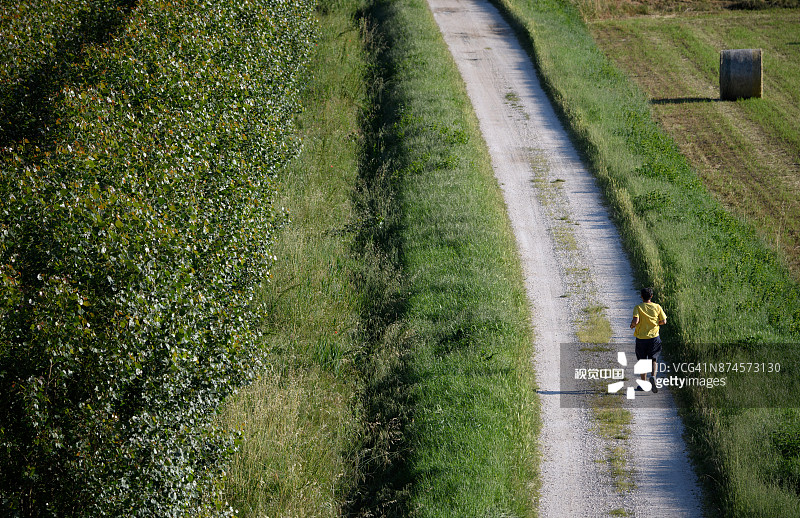 波河三角洲附近的波莱西内乡村风光图片素材