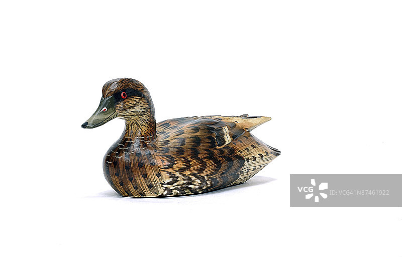 装饰鸭图片素材