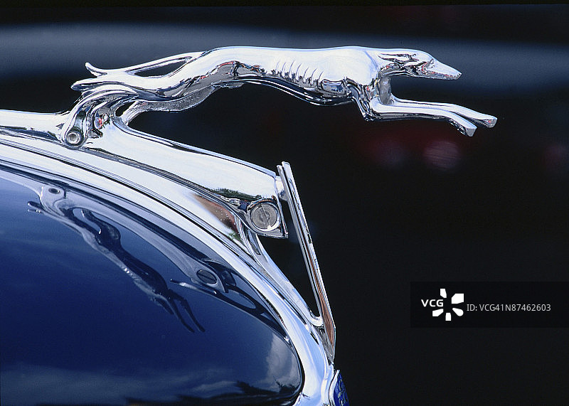 灰狗车头装饰图片素材