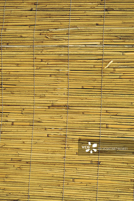 竹子特写图片素材