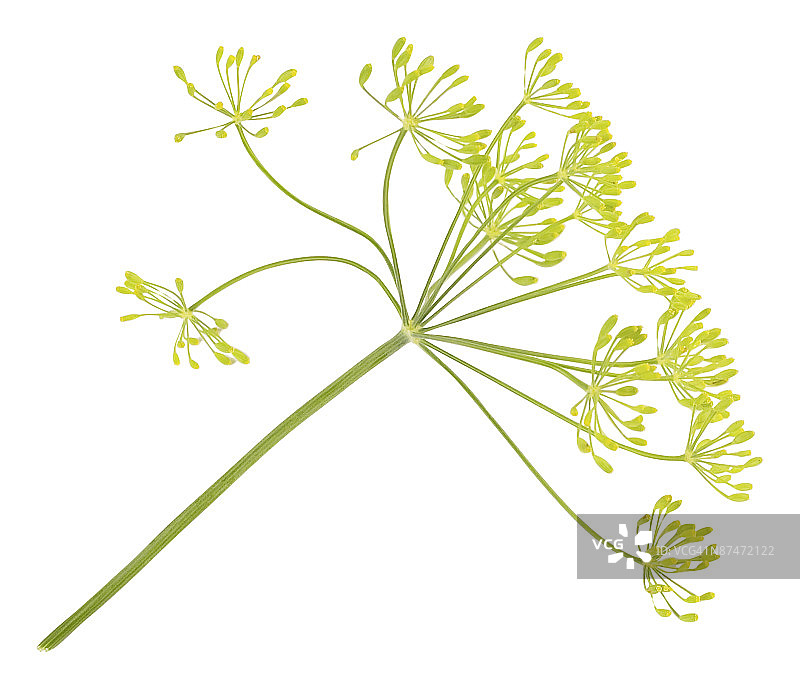 23605333图片素材