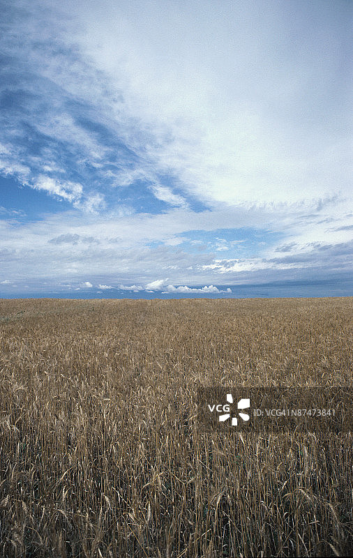 创意图片素材图片素材