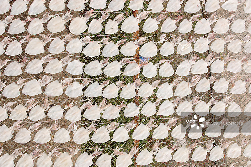 在金属网上晾晒鱼干图片素材