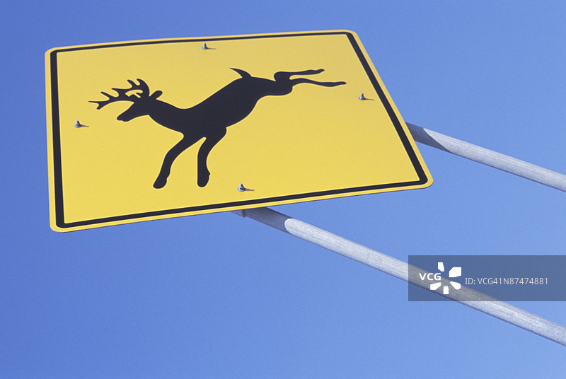 鹿过路标图片素材