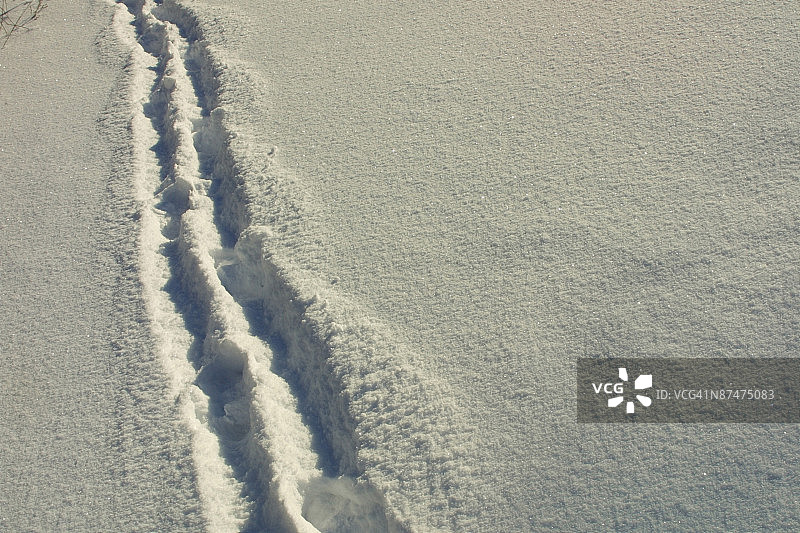雪中小路图片素材